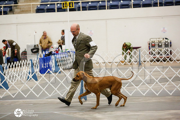 _RH_1502-AblnMay2014-web