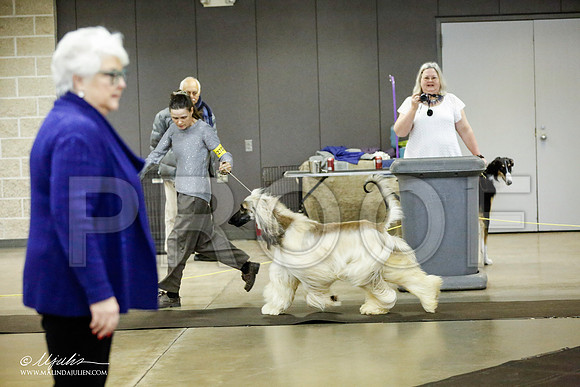 _RH_1434-BeltonJan2015IABCA-HR3