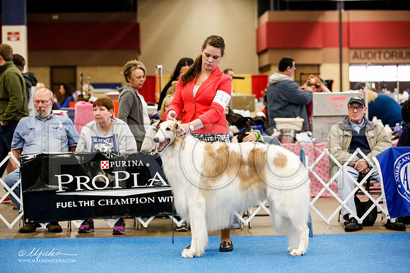 _M3_2225-AddisonHuskyMar2015-HR3