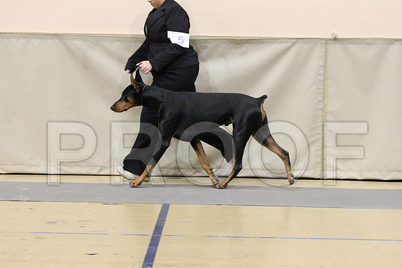 MJS_2245