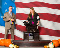 Spaniels Cocker Black #6 Sun BOV Kimble Frances Judge Mr Rick Gschwender