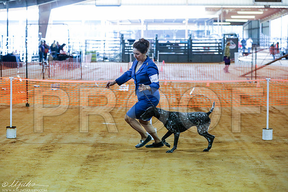 _RH_0186-MarshDec2014-HR