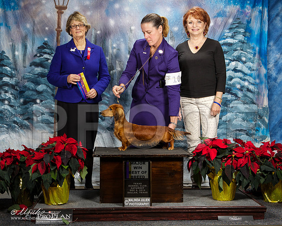 _ST_8765-DallasDec2014-HR3