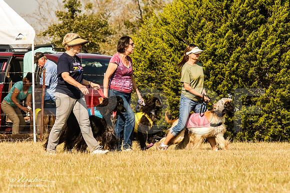 _MJ_4222-AfgBeltonOct2014-HR3
