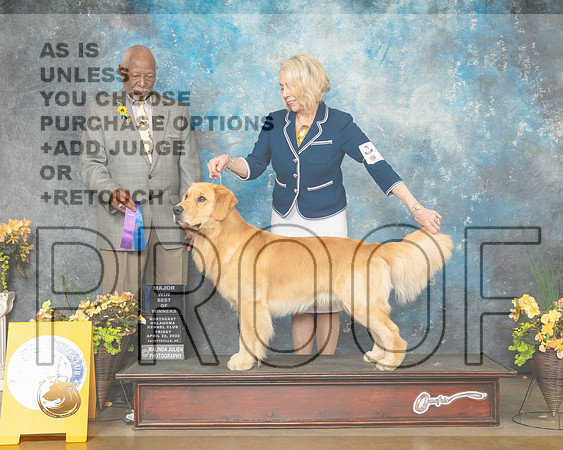 Golden Retriever #19 Fri BOW Judge Eugene Blake-MMJ_9622-NWARK2022-HR3