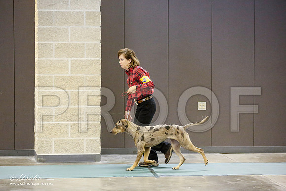 _JN_3232-BeltonJan2015-HR3