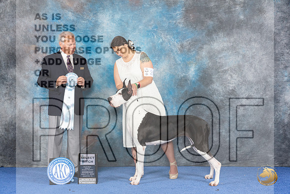 Great Dane #24 WED SB Judge James Remaklus__JP_6810_Houston_2024_HR3