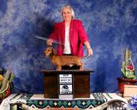 Dachshund Wirehaired #7 Sat BOW NC Carolyn Thorne  Judge L Williams J+