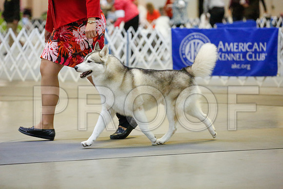 _JJ_7018-AmarilloSept2014-HR3