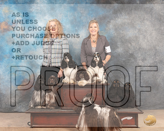 Cocker Spaniel Group Sun-MMJ_4750-Abilene2022-HR3