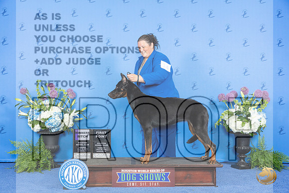 Beauceron #14 THUR WB Judge Jon Cole__JP_7964_Houston_2024_HR3