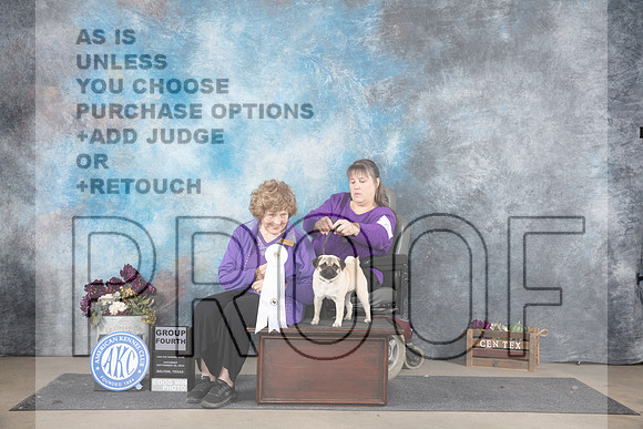 Pug #6 Sat G4 Judge Donelle Richards__JP_7182_Belton_2024_HR3