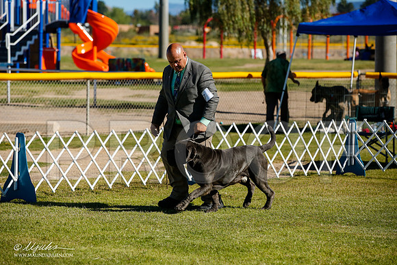 _JJ_9520-AlamogordoOct2014-HR3