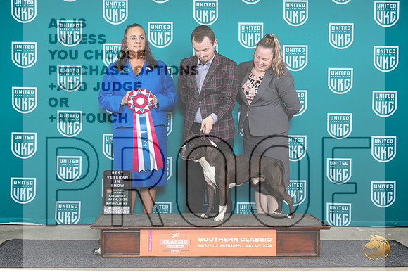 American Pit Bull Terrier #124 Sat1 VBIS Judge Valerie Piltz__JP_6500_BatesvilleMS_2024_HR3