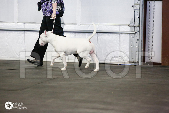 _N9A4527-AzleMar14-HR