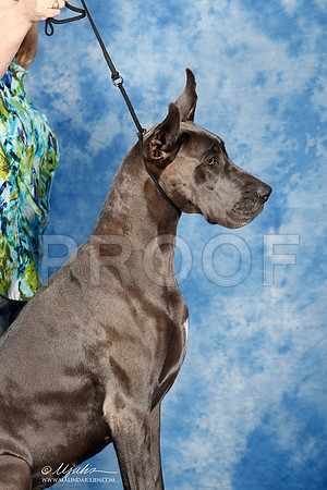 _ST_6908_2-SAJul2014-HR3