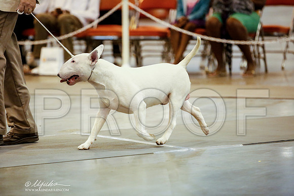 _JJ_6479-DalJul2014-HR3
