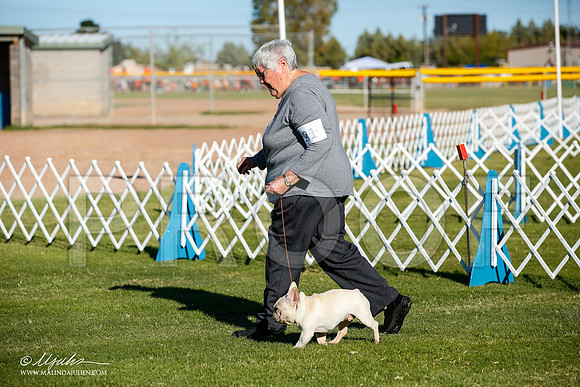 _JJ_6332-AlamogordoOct2014-HR3