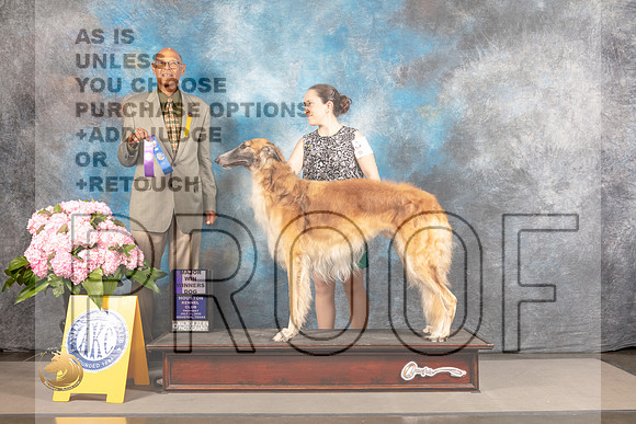 Borzoi #5 THUR WD Major Judge Robert Place_MJ_4200_Houston_2022_HR3