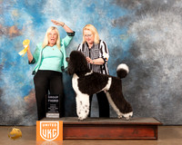 Poodle Std MC #143 Sun1 G3 Judge Kathy Short