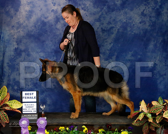 GSD-9358-NormNov13-HR