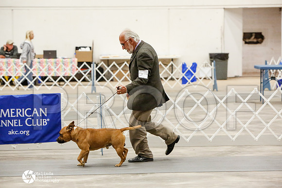 _CK_8520-AblnMay2014-web