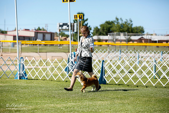 _JN_9233-AlamogordoOct2014-HR3