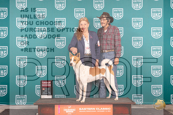 Canaann Dog #115 Fri G2 Judge Kathy Russell __JP_1973_UKCEastern_2024_HR3