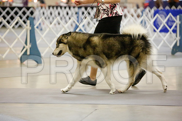 _JJ_7490-AmarilloSept2014-HR3