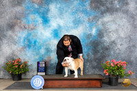 Bulldog #7 Sat WD Judge Victor Rosado