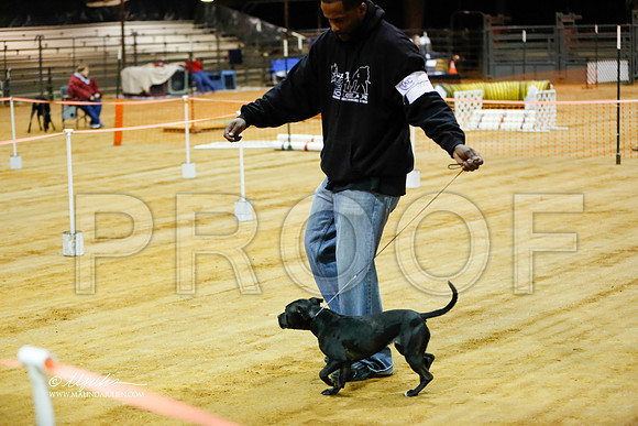 staffy-1445-MrshlDec13-HR