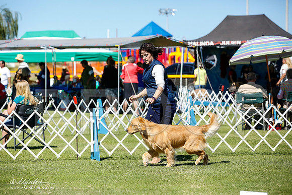 _JN_5271-AlamogordoOct2014-HR3