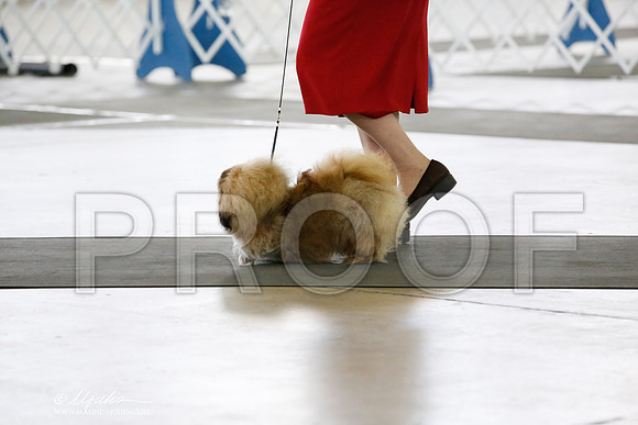 _CK_7287-DallasJul2014-HR3