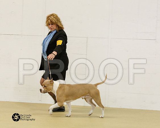 APBT-9422-HtoJan2014-HR3