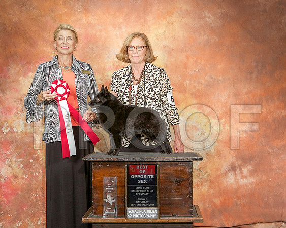_ST_2531-CarlrolltonSept2014-HR3