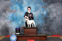 French Bulldog #5 Sun BOBOHBOB Judge Ann Catterson