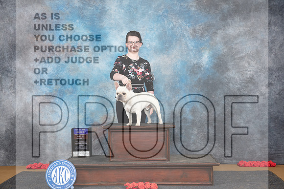 French Bulldog #5 Sun BOBOHBOB Judge Ann Catterson__JP_0621_Sulphur Springs_2024_HR3