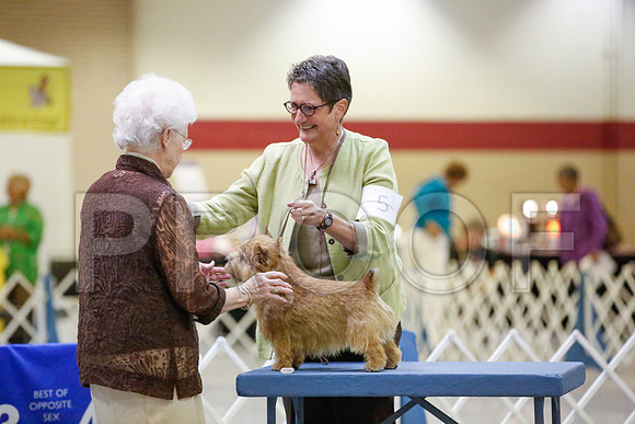 _JN_0248-AmarilloSept2014-HR3