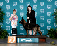 Caitlin Flesher UKC Premier 2025