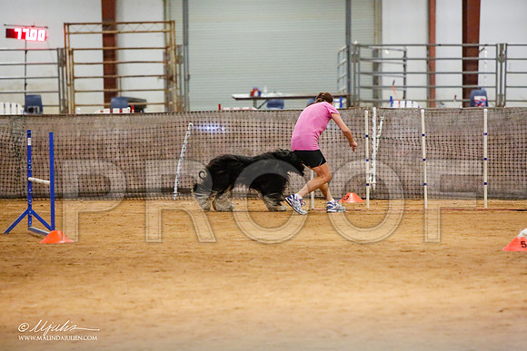 _MJ_2658-AfgBeltonOct2014-HR3
