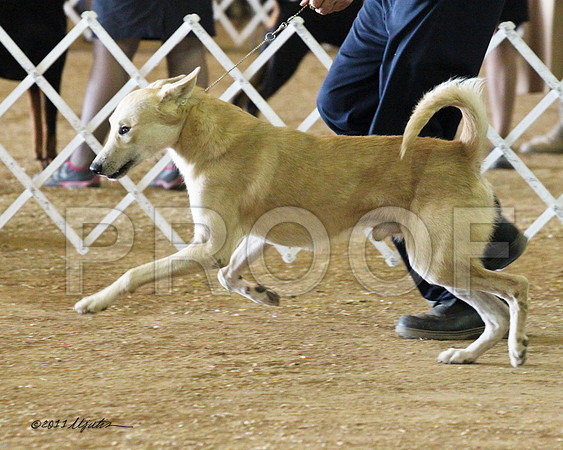 cannan-0870