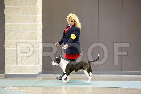 _RH_0023-BeltonJan2015-HR3
