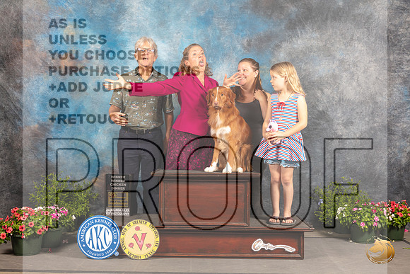 Nova Scotia Duck Tolling Retriever #5 Family_MJ_0651_SA_2022_HR3