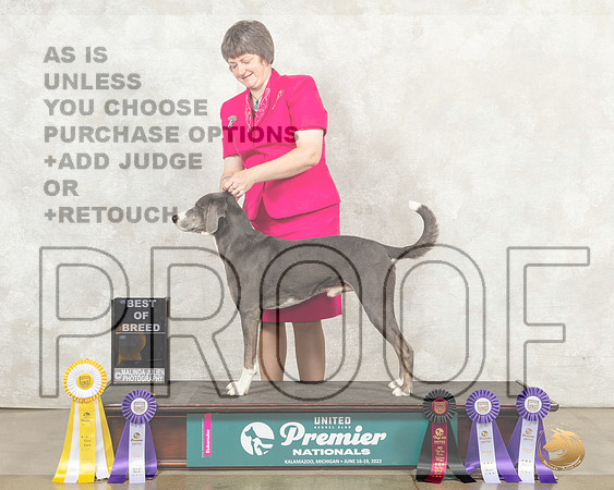 Mountain Cur #267 Thur top10BOB G4__MJ_9282_Premier_2022_HR3