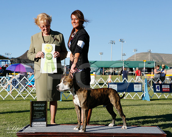 _ST_3510-2-AlamogordoOct2014-HR3