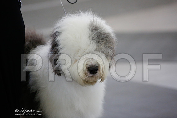 _JJ_5615-DallasJul2014-HR3