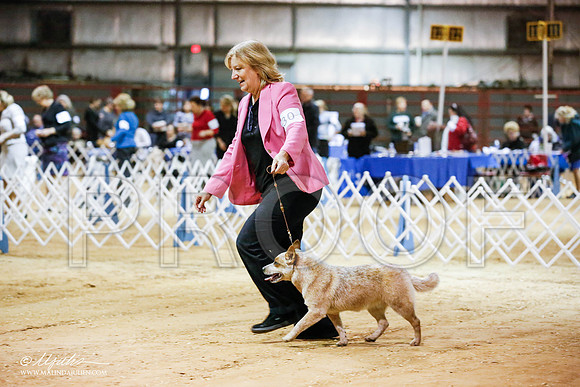 _JN_4269-2-GlenRoseJan2015-HR3