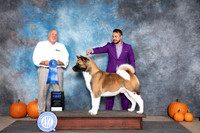 Akita #5 Sat G1 Hal Biermann