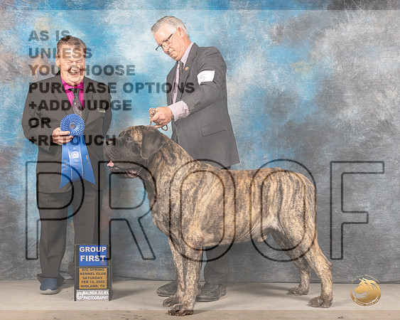 Mastiff #5 Sat G1 Judge Del RichardsMMJ_4528_Mdlnd2022_HR3
