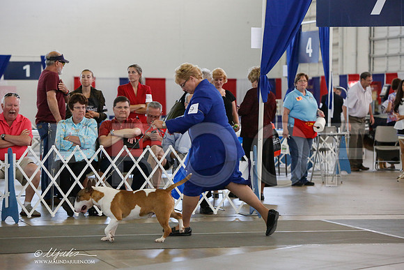 _JJ_2011-DallasJul2014-HR3